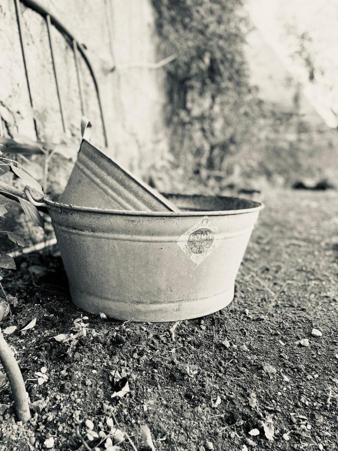 مبيت وإفطار ساساري Il Giardino Di Iole Via Giovanni Amendola N36 المظهر الخارجي الصورة